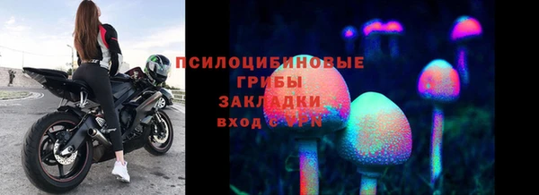 сатива Абдулино