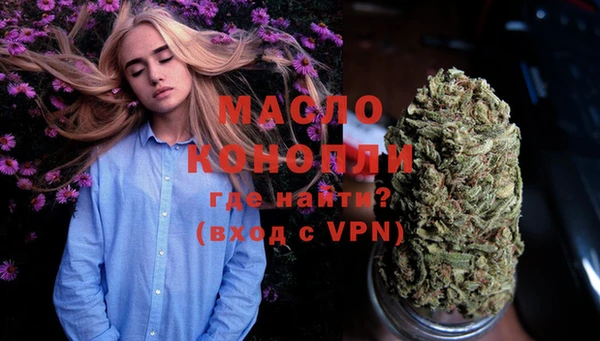 дживик Абинск