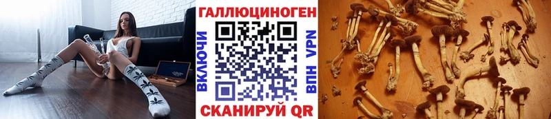 Галлюциногенные грибы Psilocybe  купить наркотик  Соликамск 